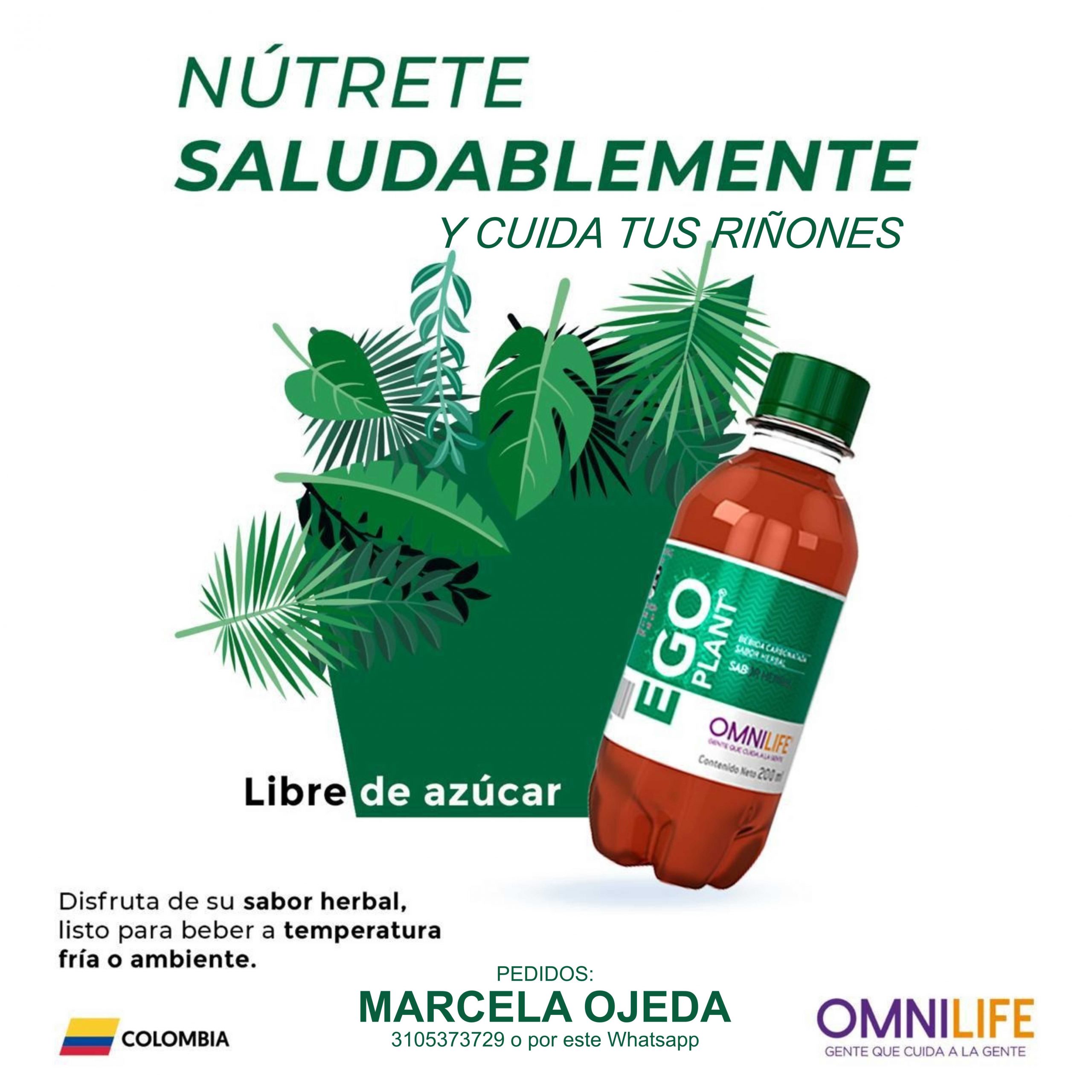 Publicaciones OMD 2004